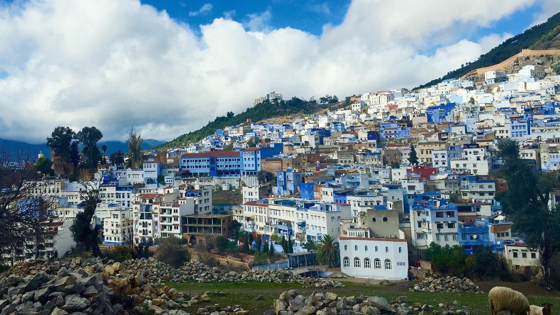 Chefchaouen - smještaj