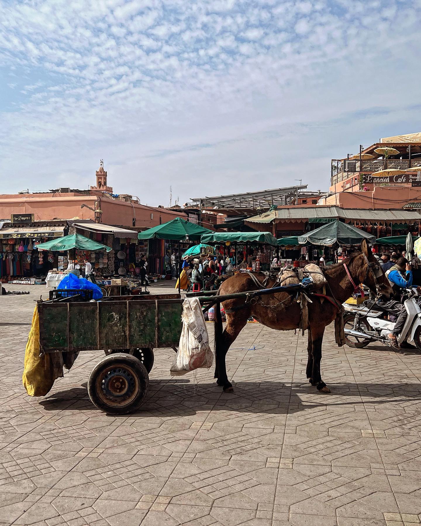 Trg Jemaa el-Fna u Marrakeshu