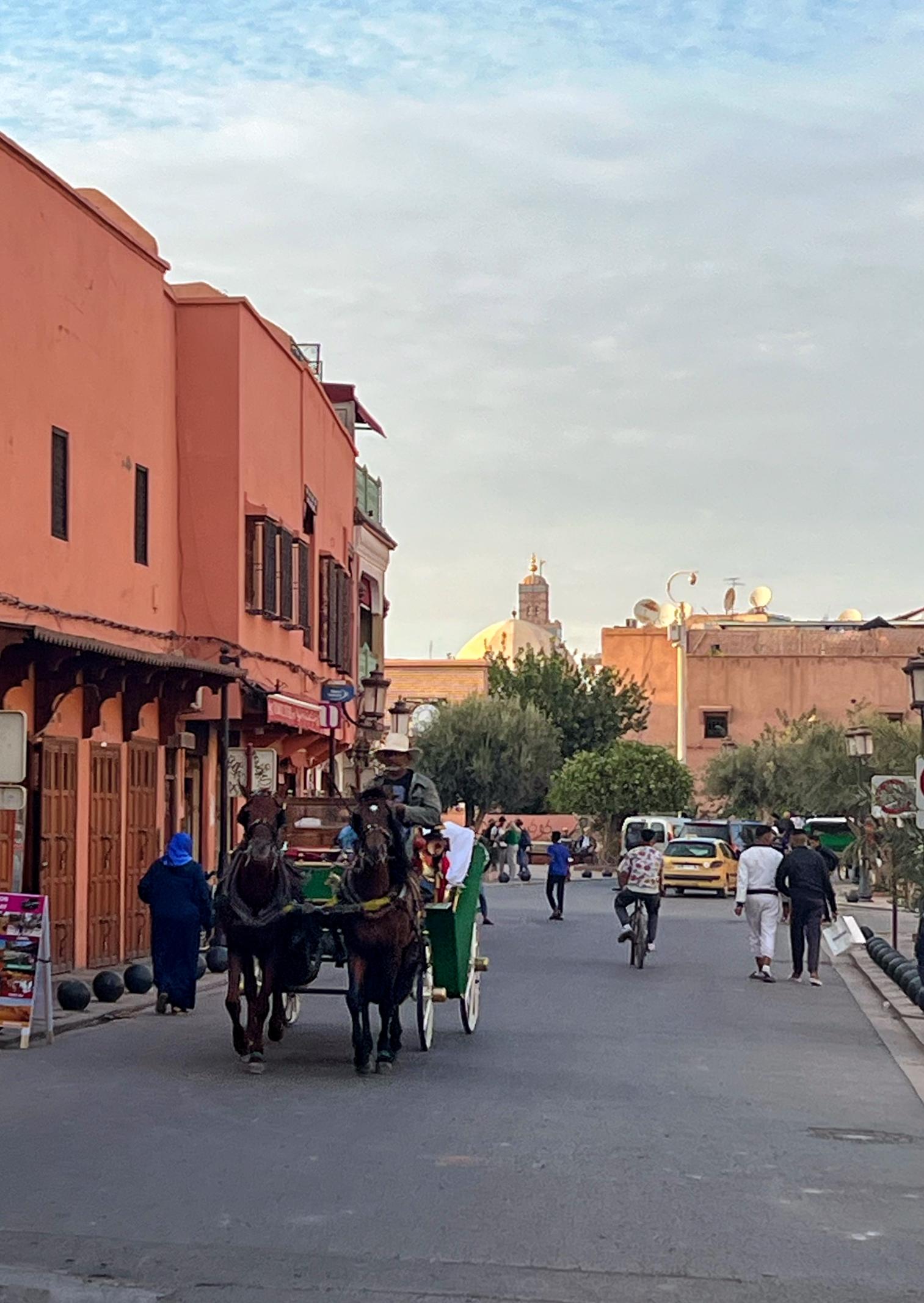 Slobodan dan u Marrakechu