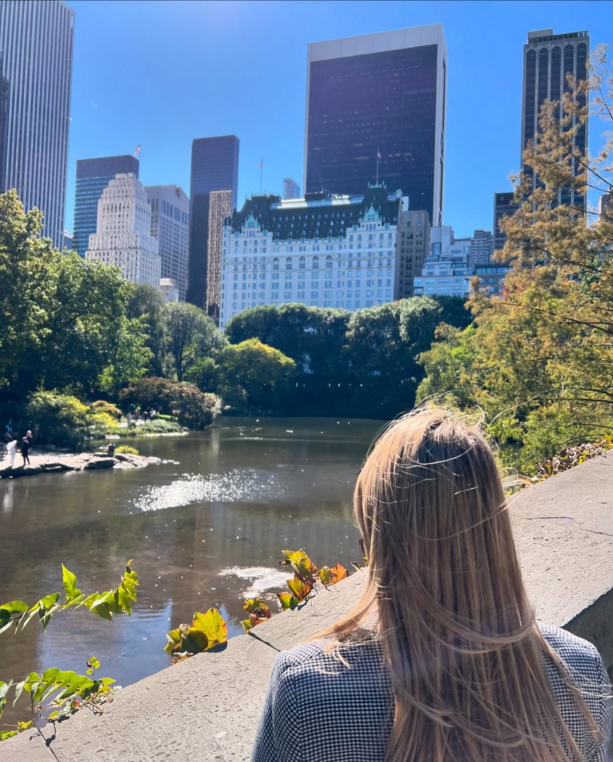 The Plaza hotel - Central Park u New Yorku